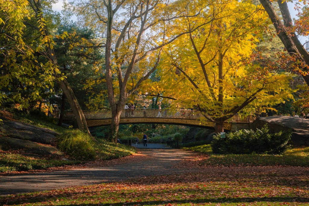 central park fall bridge