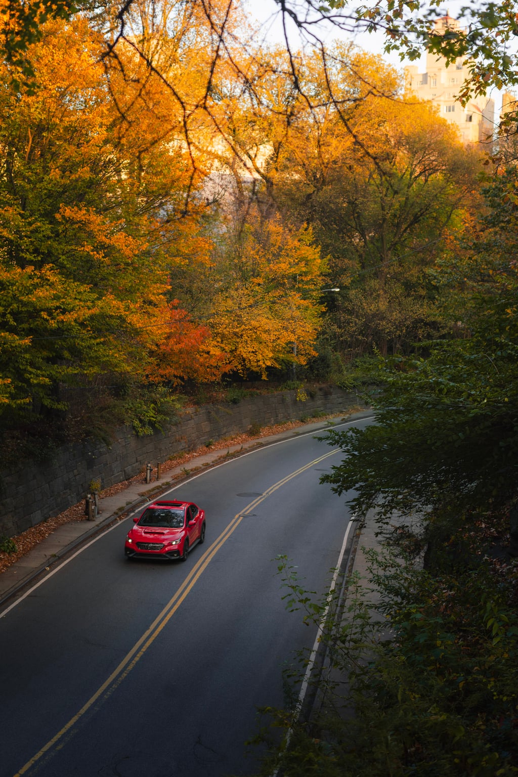 central park fall drive