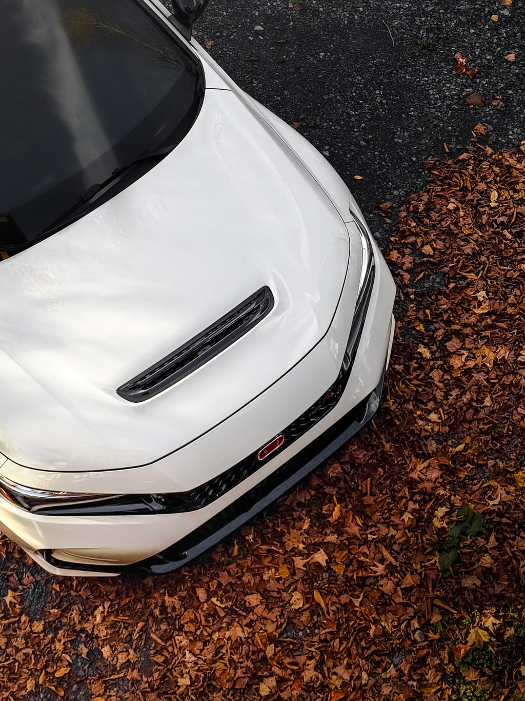 civic type r autumn