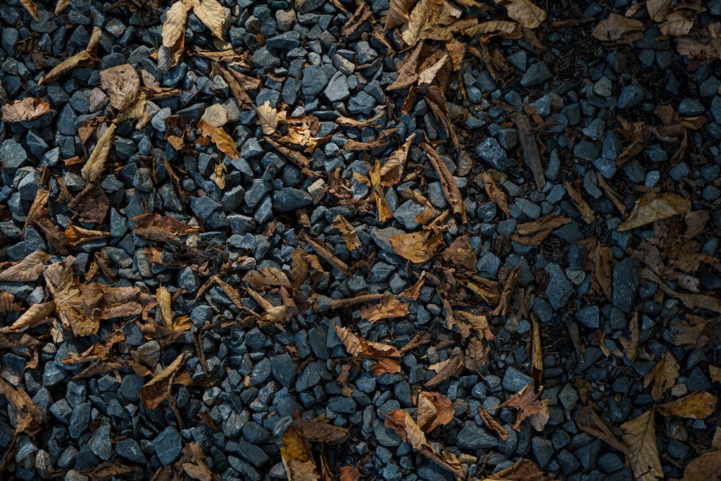 fallen leaves gravel