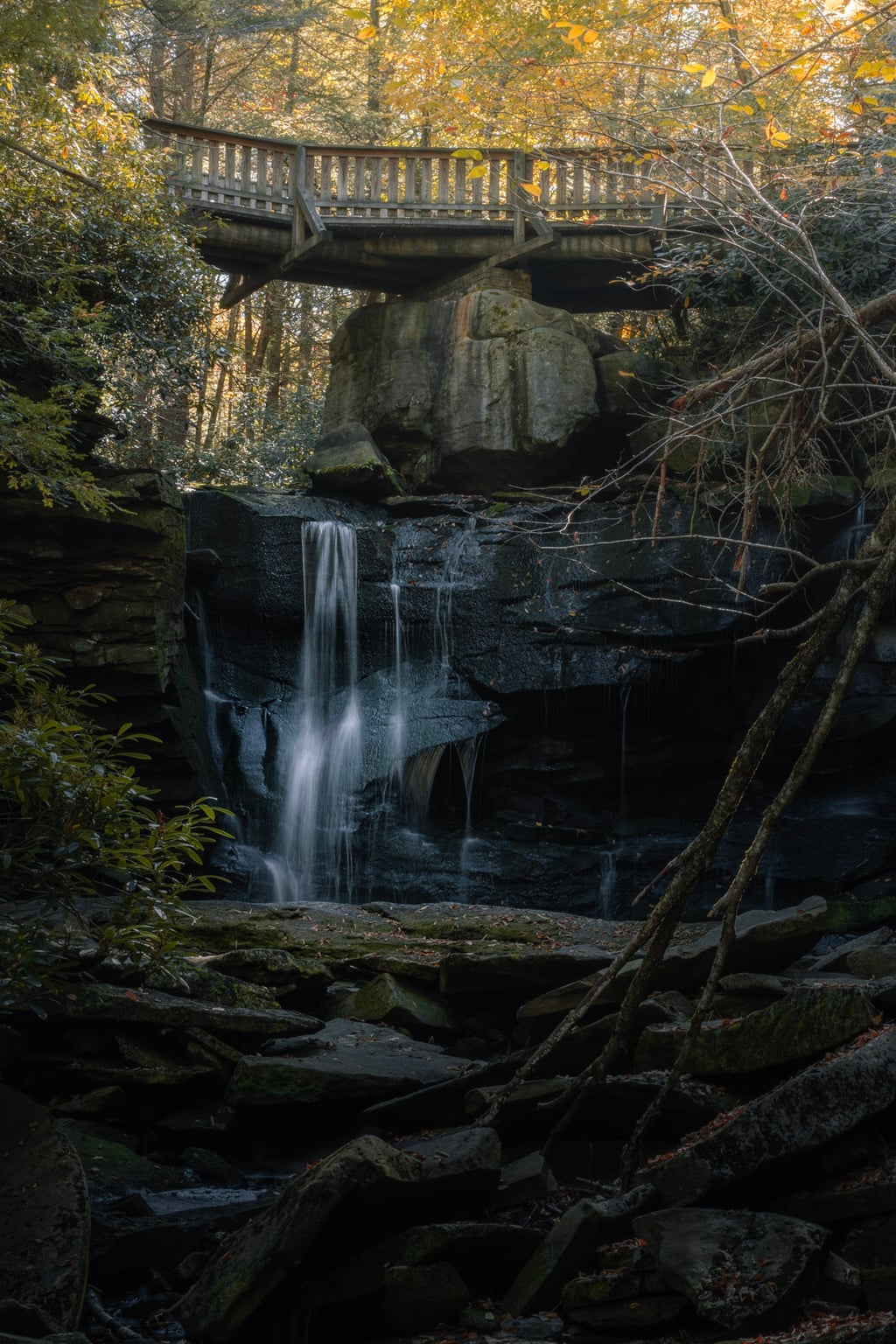 forest waterfall bridge