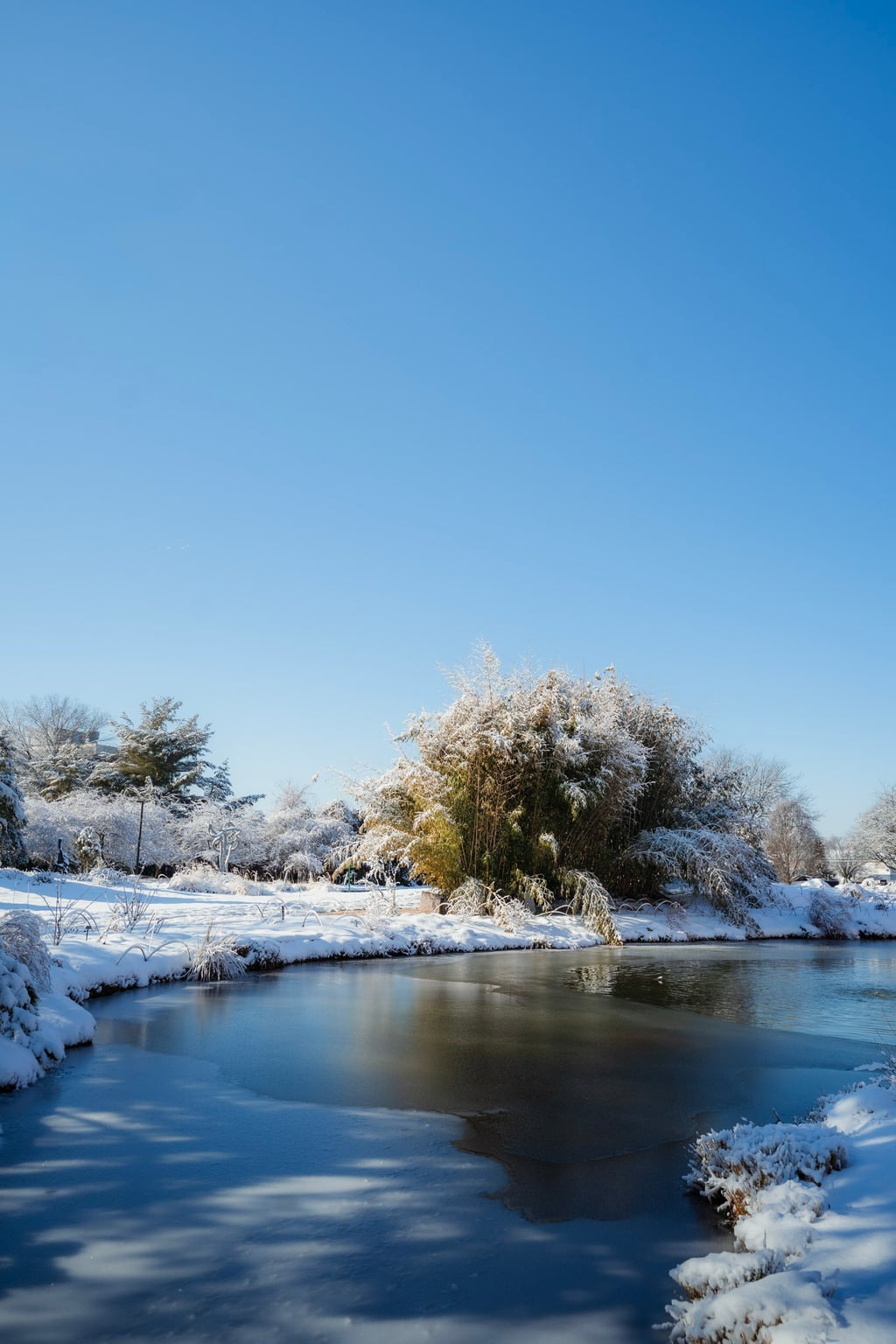 frozen pond winter