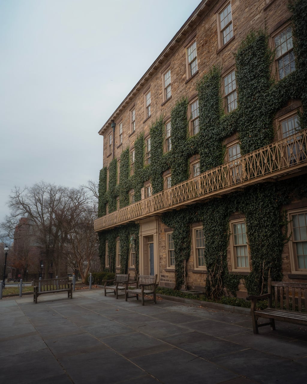 ivy hall winter